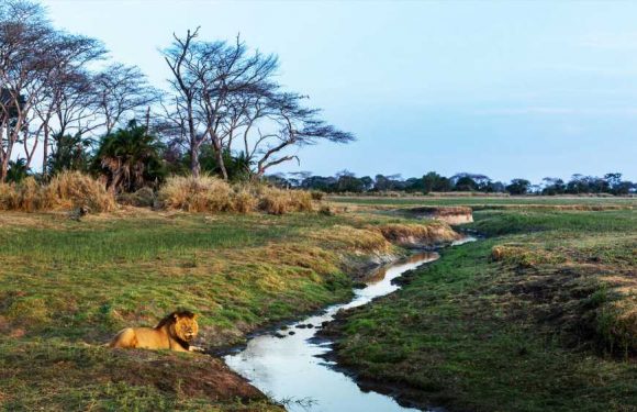 Upgrades at Kafue National Park in Zambia will benefit tourism: Travel Weekly