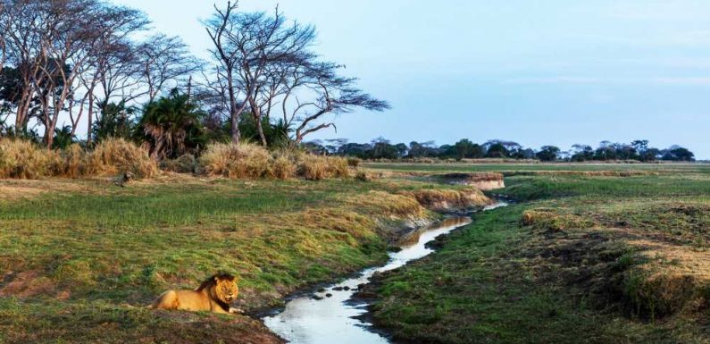 Upgrades at Kafue National Park in Zambia will benefit tourism: Travel Weekly