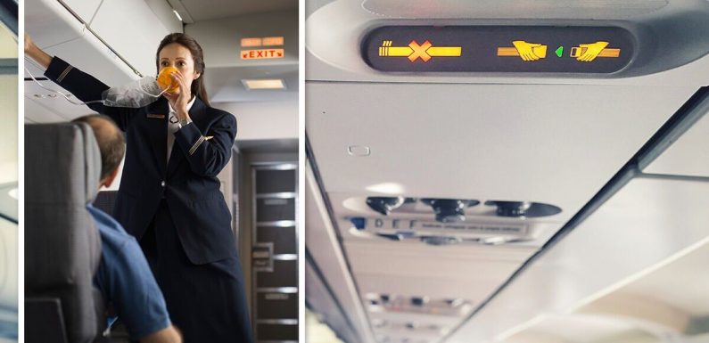 ‘You can be arrested’ Flight attendant warns passengers to never disobey seatbelt sign