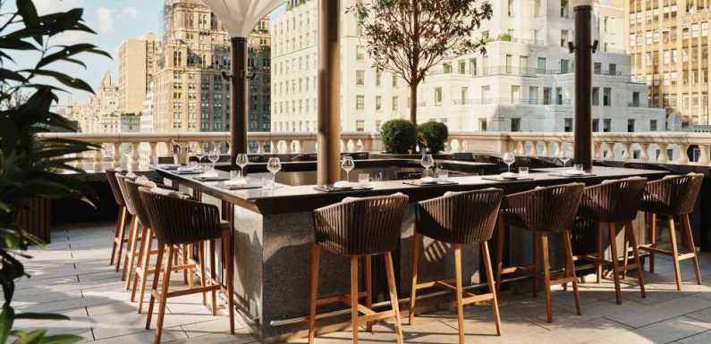 Inside the Aman New York: Setting the luxury bar higher: Travel Weekly