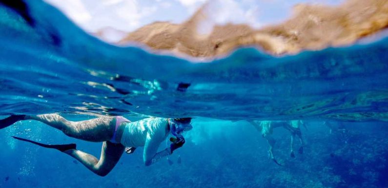 New snorkeling tour offered on Maui: Travel Weekly