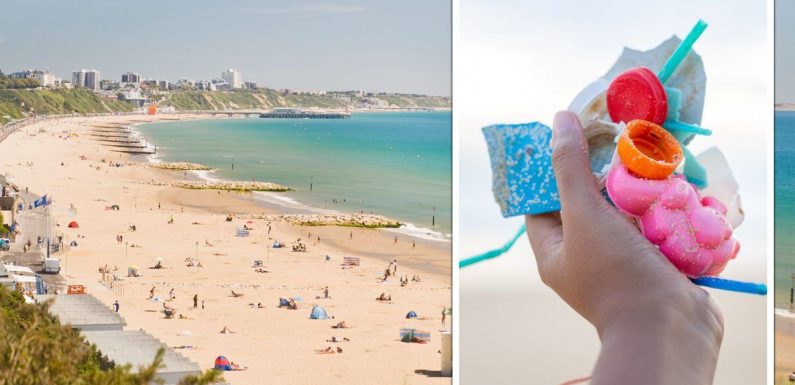 ‘Sick to death!’ More calls for Bournemouth tourist tax amid ‘appalling’ litter on beaches