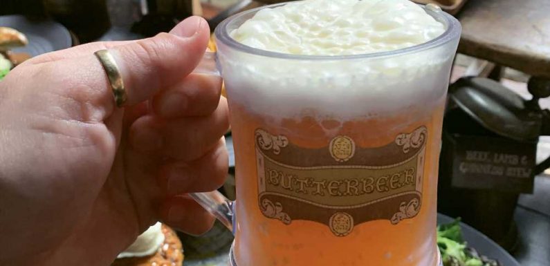 Universal's Harry Potter lands now serve vegan Butterbeer: Travel Weekly