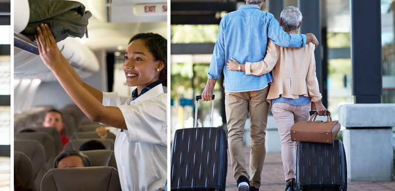 Flights: Airline worker shares ‘the best luggage’ to buy for a holiday
