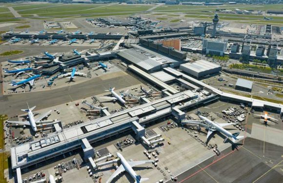 Schiphol tightens passenger cap due to understaffing: Travel Weekly