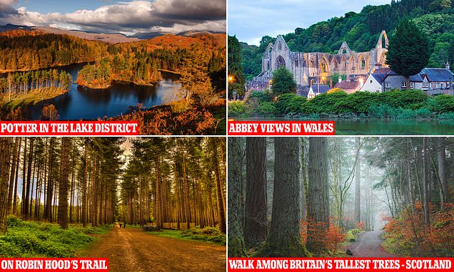 From the Lake District to Cornwall, autumn walks to lift the spirits