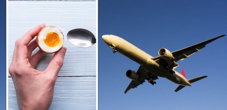 Heated discussion erupts over eating smelly foods on plane