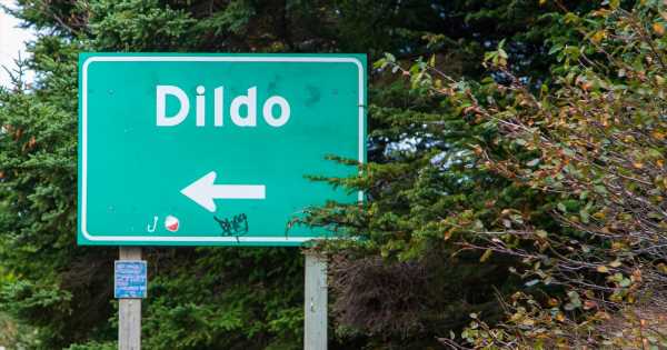 Rudest place names including Shitterton, Dildo and even W**k Mountain