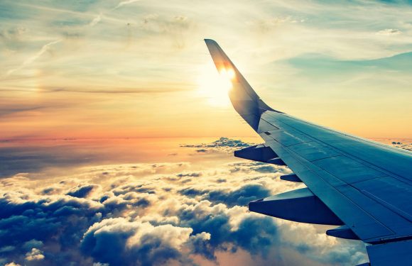 IATA: Global airline industry will be back in the black in 2023