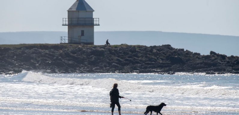 Top 10 staycation spots to holiday with pets – including Wales and Yorkshire