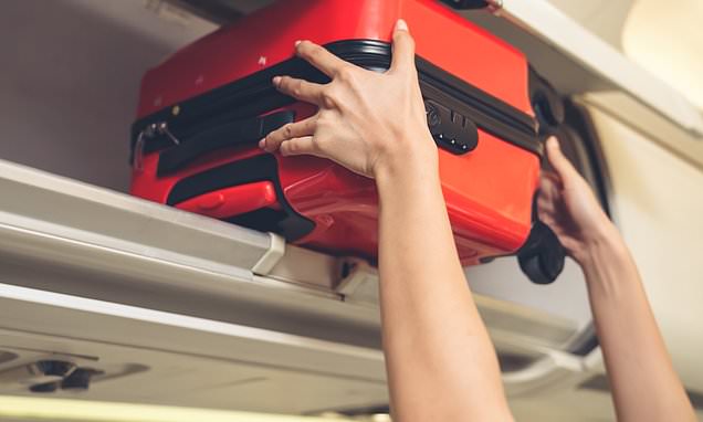 Nine ways to get extra luggage on a plane trip (without paying extra)