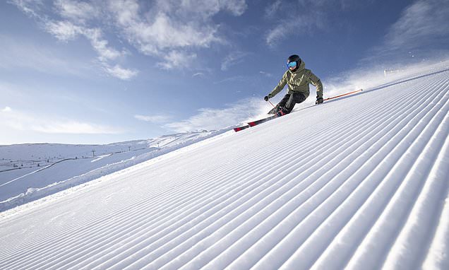 The joys of the Norwegian ski resort of Trysil, where snow is a given