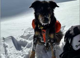 Colorado avalanche survivor determined to find beloved dog