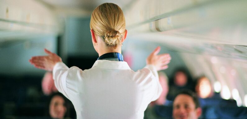 ‘I’m sick of being ogled by lusty footy lads just because I’m an air hostess’