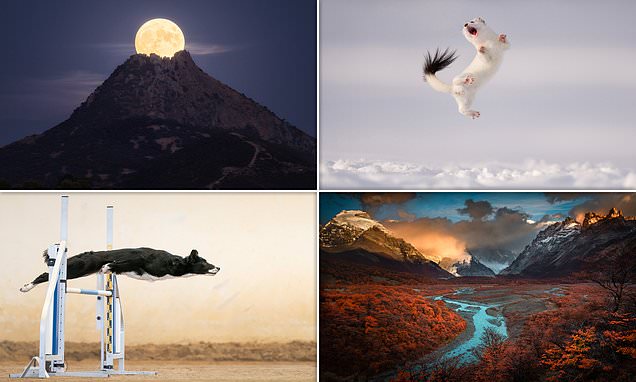 Shortlisted photos in the 2023 Sony World Photography Awards