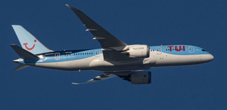 TUI passengers ‘in flood of tears’ after pilot aborts landing