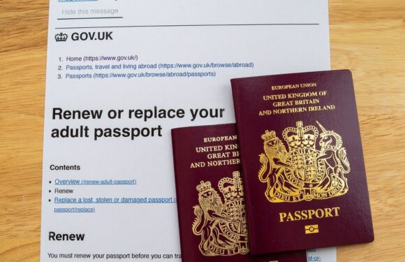 Travel experts warn Brits to check their passports before strikes kick off