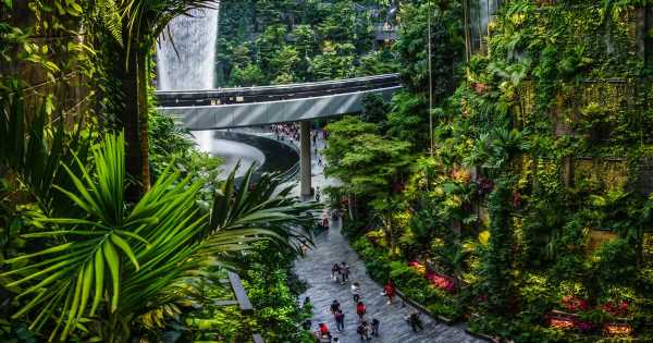 ‘World’s best airport’ has trampolines, waterfalls and huge indoor jungle