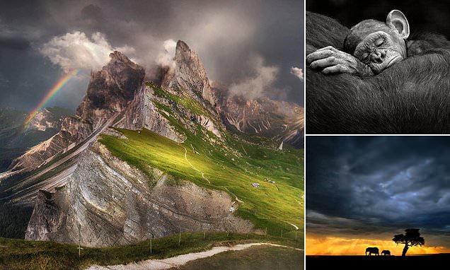 Twelve pictures that will astound you from a prestigious photo contest
