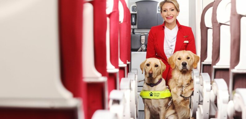 Virgin Atlantic partners with Guide Dogs to support visually impaired passengers