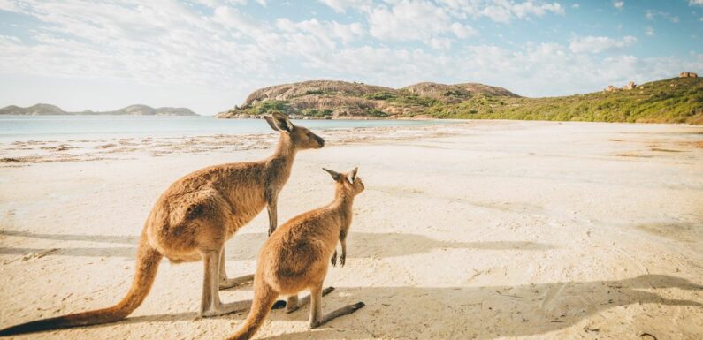Australia to ease rules for Brits who want to move for sun, sand and Sheilas
