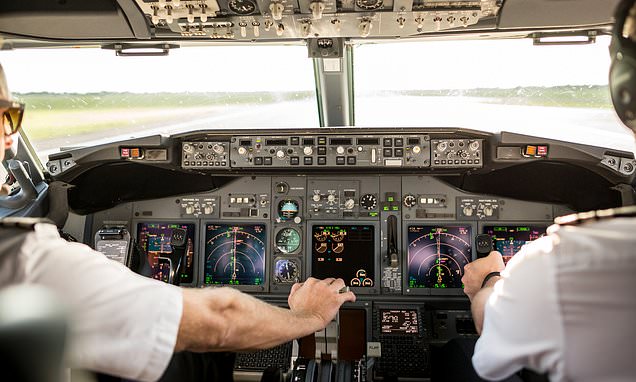 Flight safety expert: Why pilots are much more than 'plane drivers'
