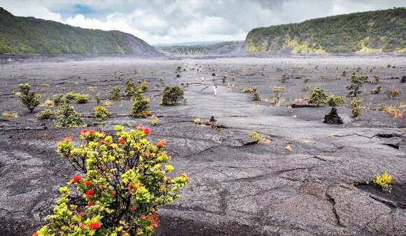 No lava, no problem at Hawaii Volcanoes National Park