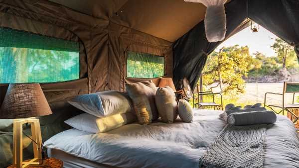 Seasonal pop-up camp coming to South Africa's Kruger National Park