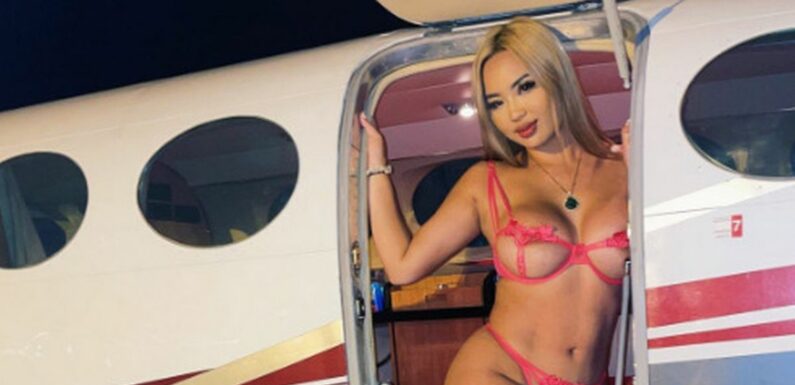 ‘I help people join the mile high club – adult stars and OAPs romp in my jet’