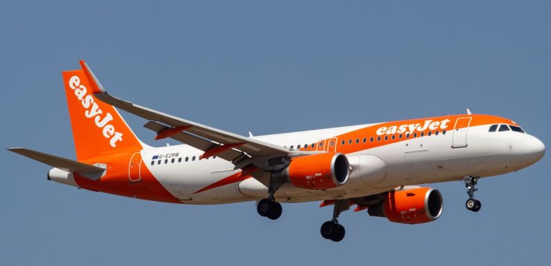 Couple kicked off easyJet flight after row over luggage size at airport