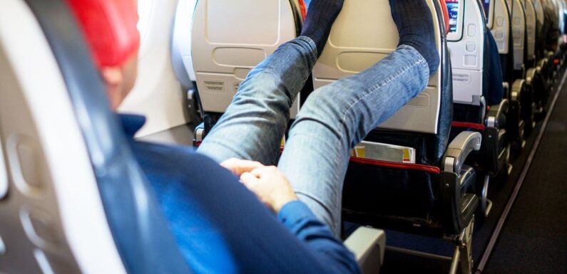 ‘Game changer’ luggage item could boost economy leg room for under £20