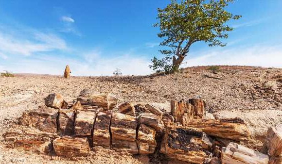 In Namibia, Damaraland emerging as an ecotourism hot spot