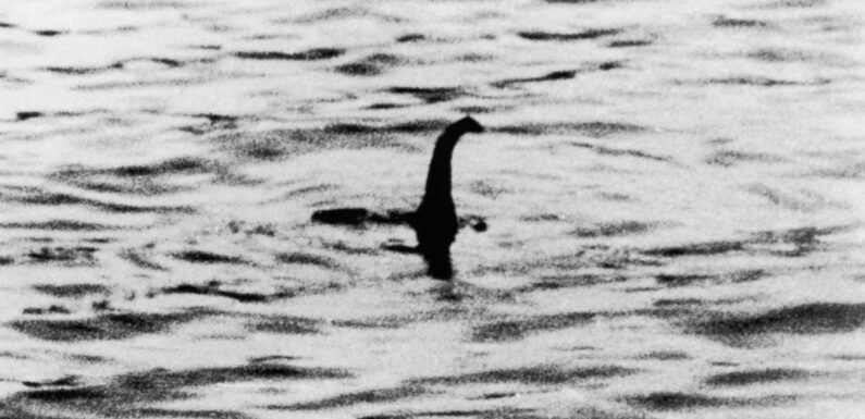 Loch Ness monster hunters wanted as biggest search in 50 years is about to begin