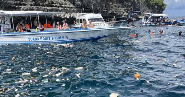 Tourists ‘disgusted’ as snorkelling guides urge them to jump into grim waters