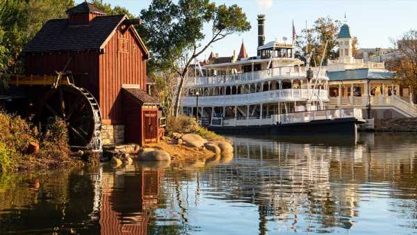 Bear spotted in Disney World's Magic Kingdom