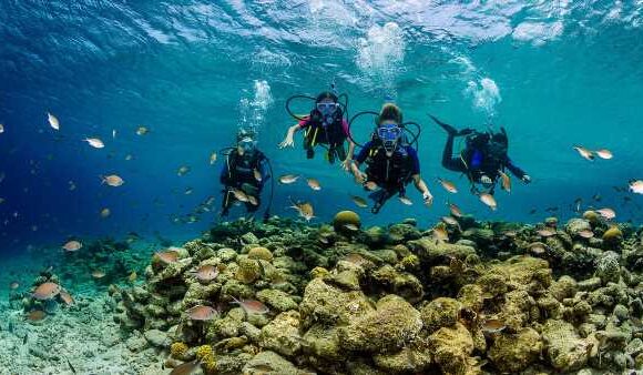 Buddy Dive Resort is hosting Bonaire Dive Week