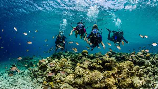 Buddy Dive Resort is hosting Bonaire Dive Week