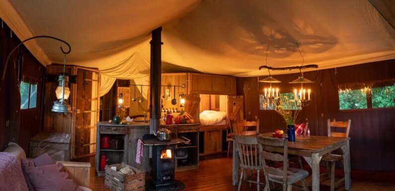 ‘I found a secret garden and hidden bedroom in our yurt at UK glampsite’