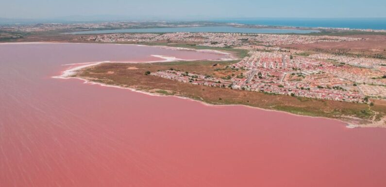 Spain’s pink lake is home to thousands of flamingos – but tourists rarely go