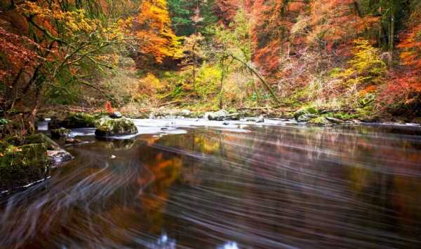UK region dubbed ‘best’ for autumn trip home to glorious forest of golden trees