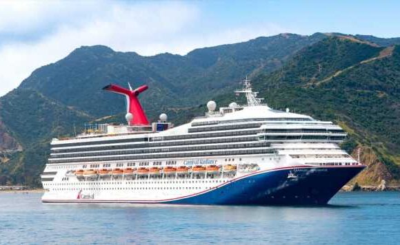 Cruise passenger banned for life after bringing forbidden item onboard