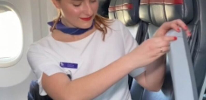 Flight attendant reveals secret button that's hidden on plane seats