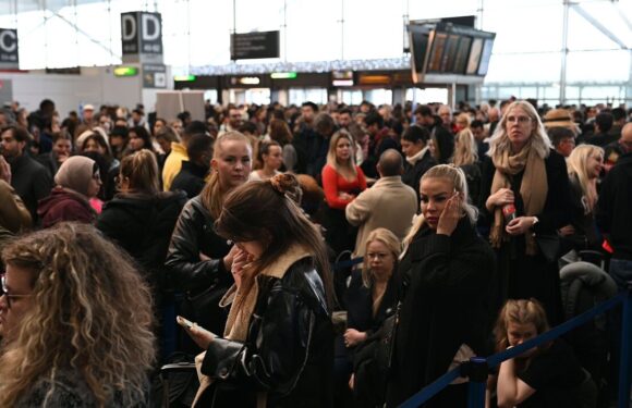 Best travel tips for a smooth flight as Christmas journeys cause chaos