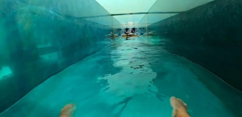 The theme park waterslide that ends in a 'SHARK TANK'